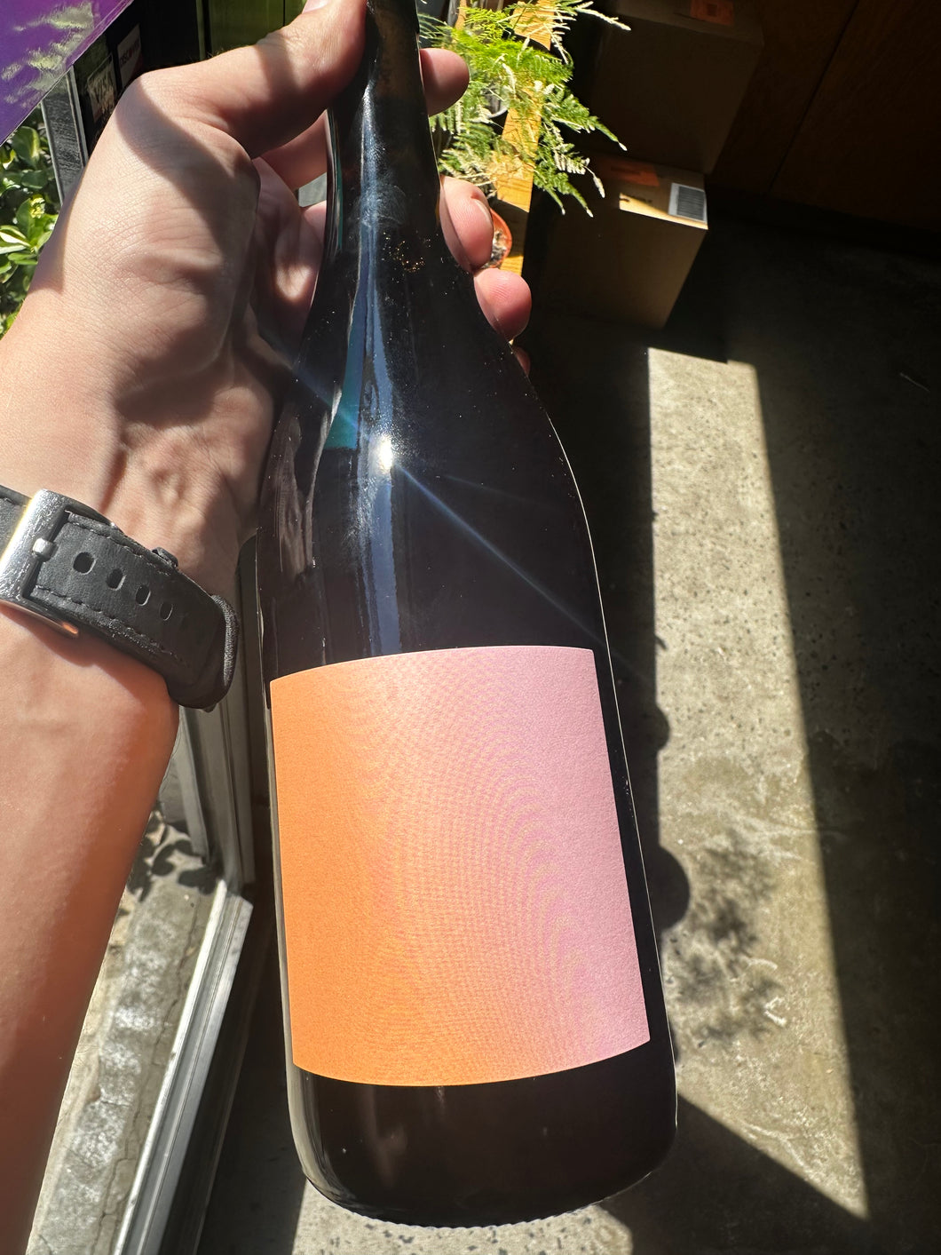Panduro Vinos Quarto Red